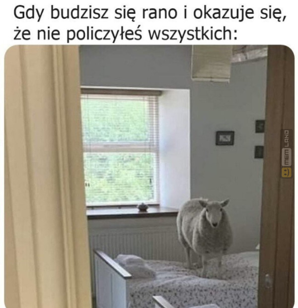 Śmieszny mem: 7828829 - MemLand