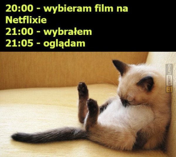 Śmieszny mem: 7831399 - MemLand