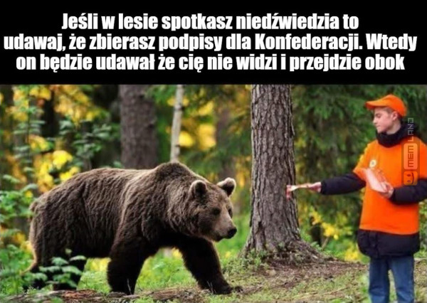 Śmieszny mem: 7840394 - MemLand