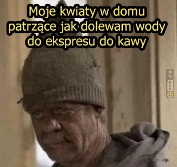 Śmieszny mem: 7841126 - MemLand