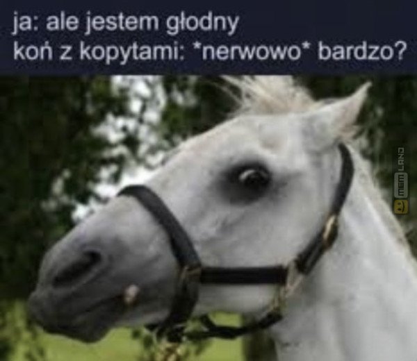 Śmieszny mem: 7844214 - MemLand