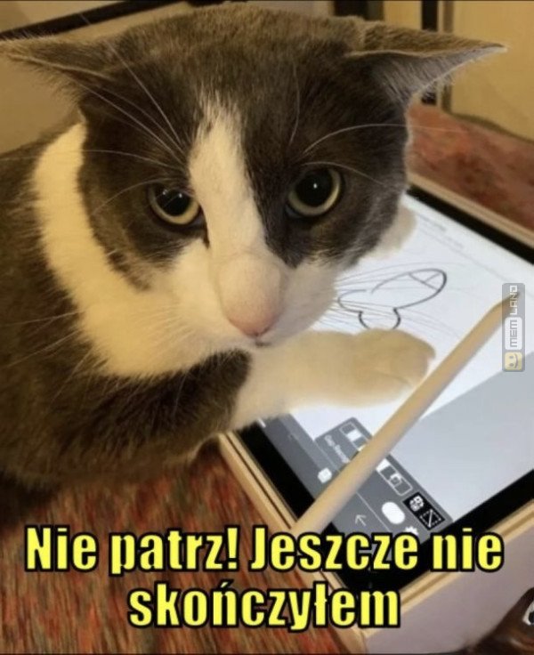 Śmieszny mem: 7855126 - MemLand