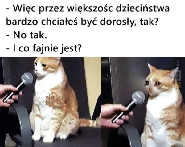 Śmieszny mem: 7858825 - MemLand
