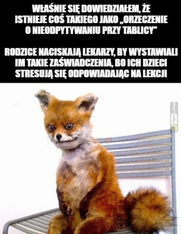 Śmieszny mem: 7858857 - MemLand