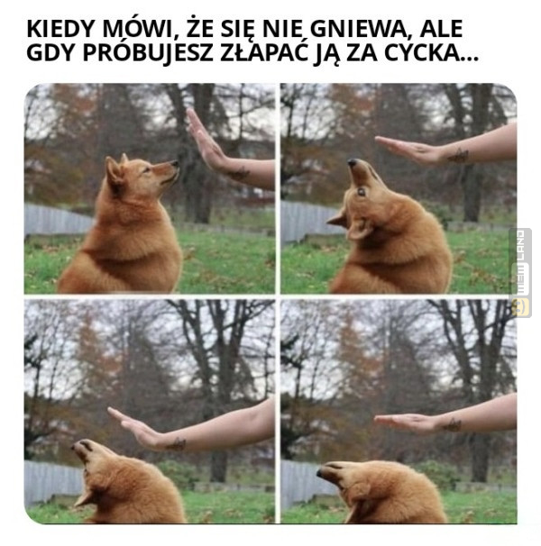 Śmieszny mem: 7859976 - MemLand