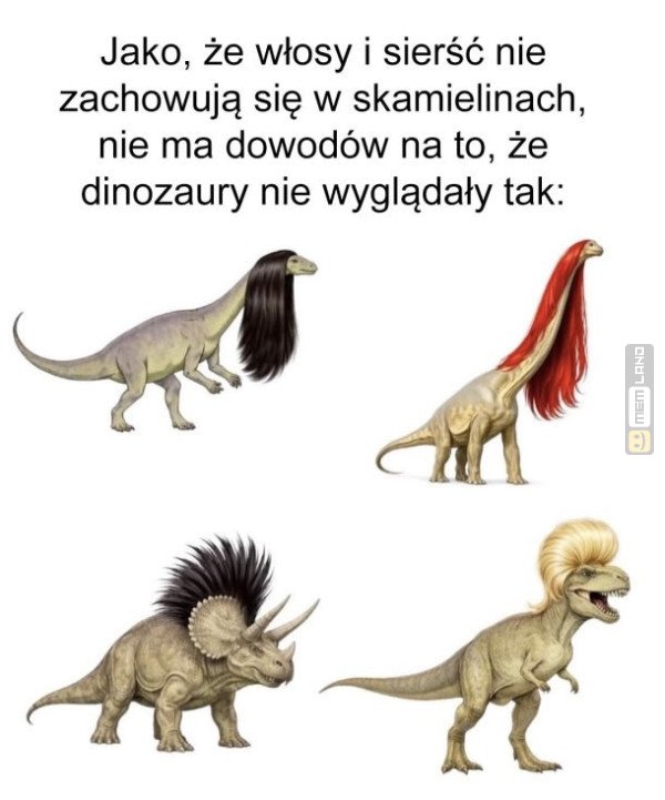 Śmieszny mem: 7862226 - MemLand