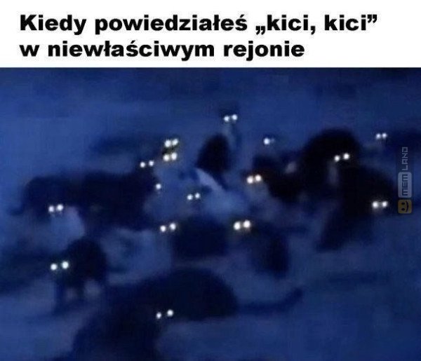 Śmieszny mem: 7865555 - MemLand