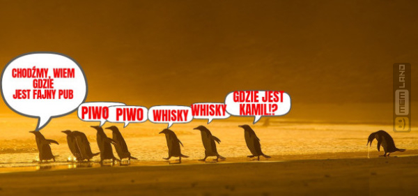 Śmieszny mem: 7870582 - MemLand