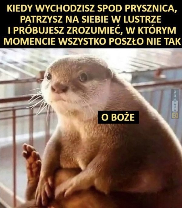 Śmieszny mem: 7871057 - MemLand