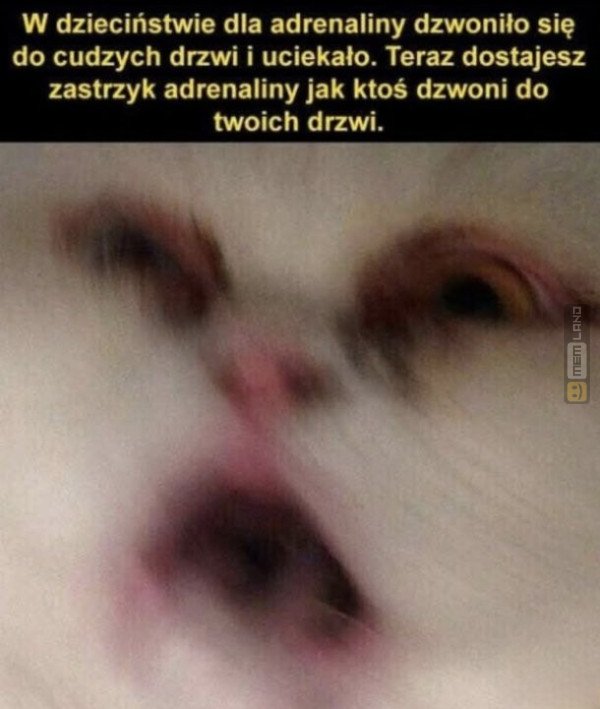 Śmieszny mem: 7874892 - MemLand