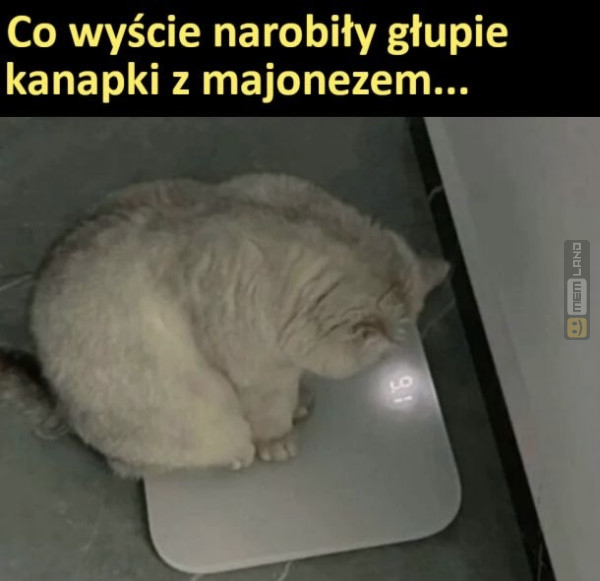 Śmieszny mem: 7882780 - MemLand