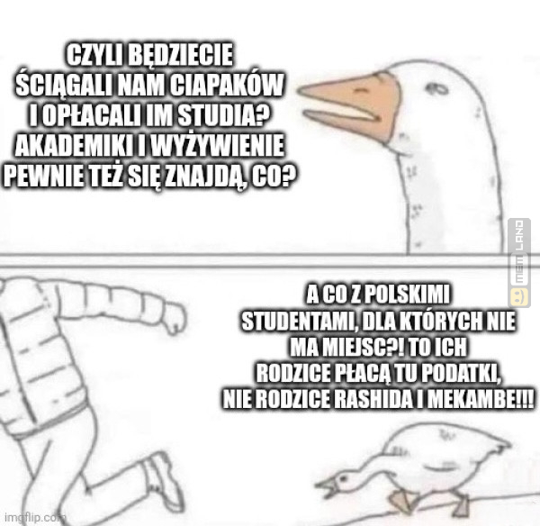 Śmieszny mem: 7884904 - MemLand