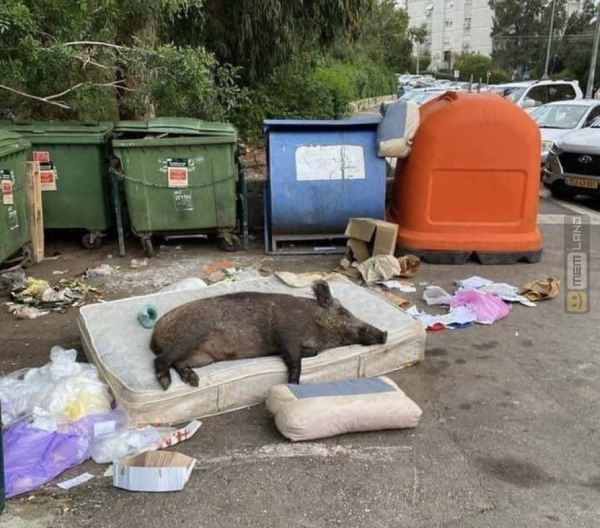 Śmieszny mem: 7886216 - MemLand