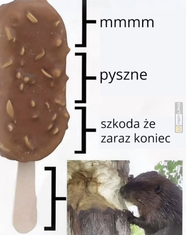 Śmieszny mem: 7889854 - MemLand