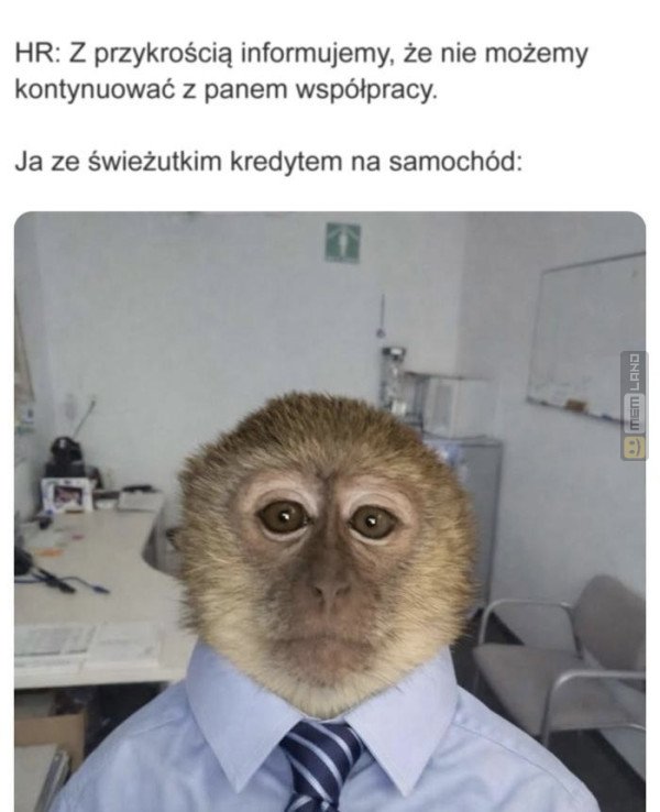 Śmieszny mem: 7890915 - MemLand