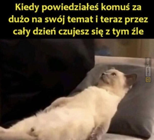 Śmieszny mem: 7894358 - MemLand