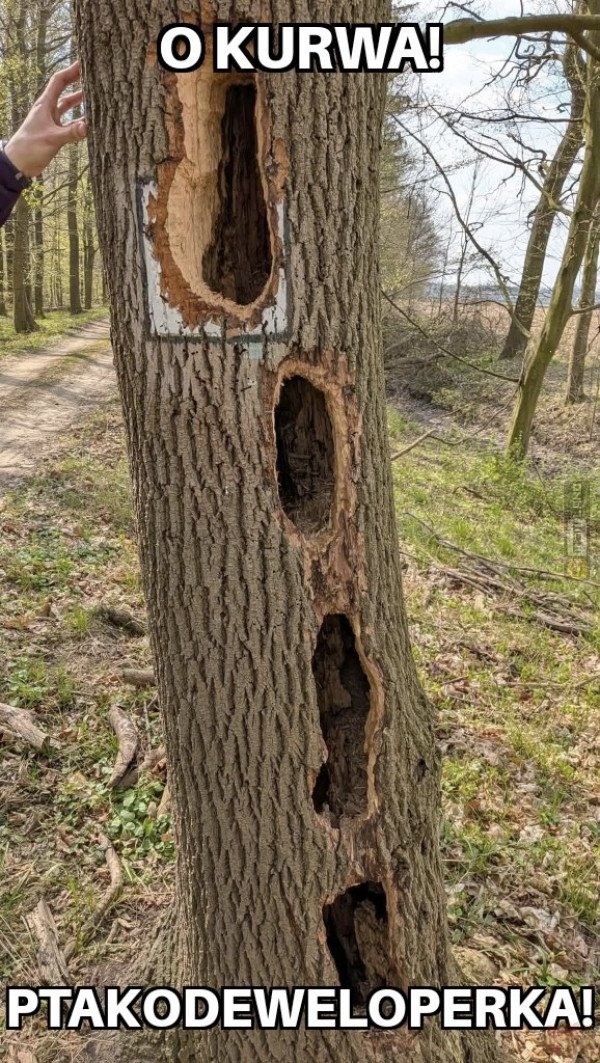 Śmieszny mem: 7908334 - MemLand