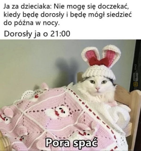 Śmieszny mem: 7908567 - MemLand