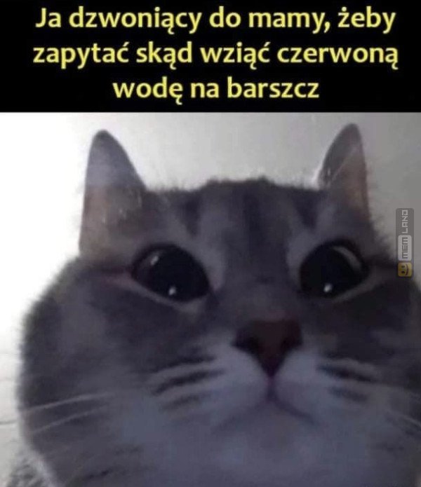 Śmieszny mem: 7909237 - MemLand