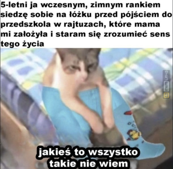 Śmieszny mem: 7917664 - MemLand