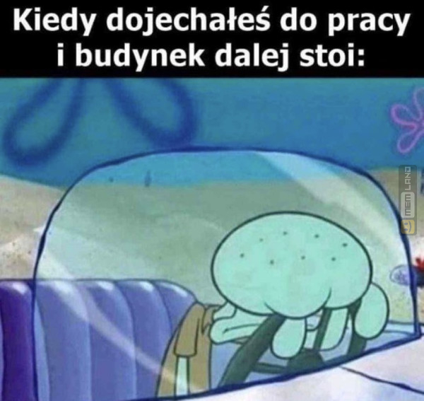 Śmieszny mem: 7928808 - MemLand