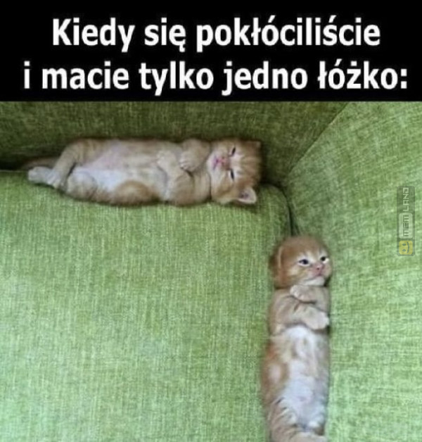 Śmieszny mem: 7938360 - MemLand