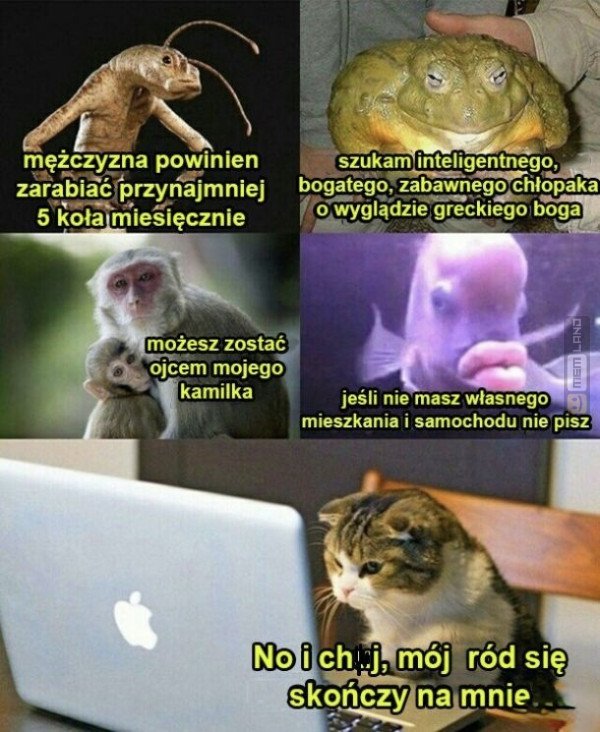 Śmieszny mem: 7962928 - MemLand
