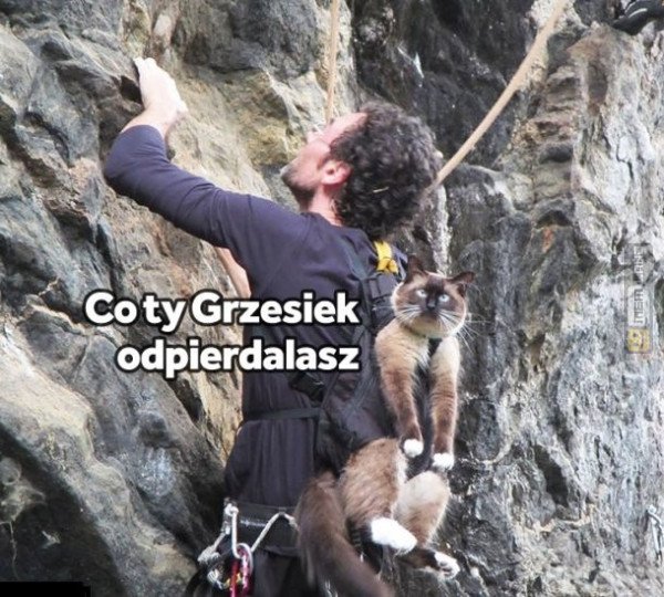 Śmieszny mem: 7963180 - MemLand
