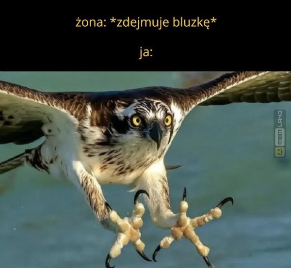 Śmieszny mem: 7967185 - MemLand