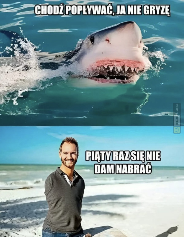 Śmieszny mem: 7977973 - MemLand