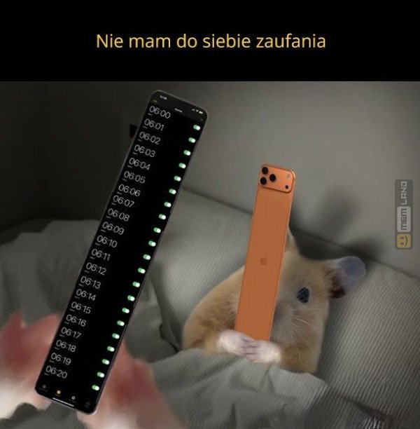 Śmieszny mem: 7981611 - MemLand