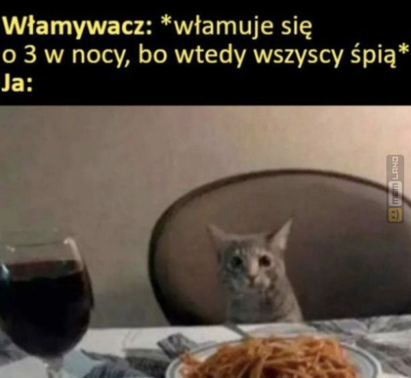 Śmieszny mem: 7988068 - MemLand