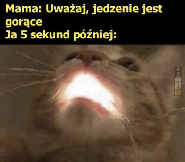 Śmieszny mem: 7988574 - MemLand