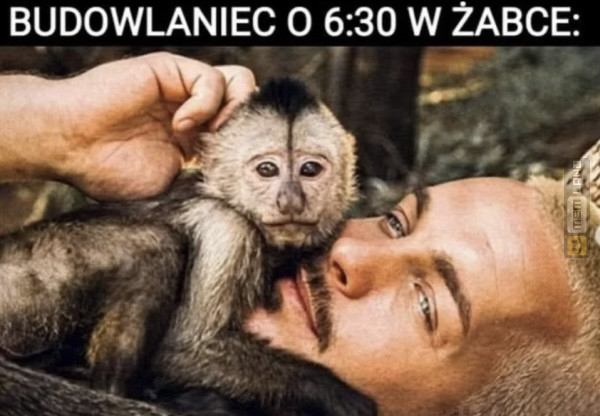 Śmieszny mem: 7990347 - MemLand