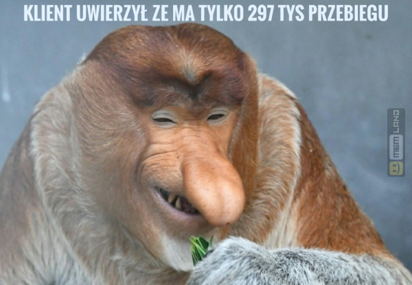 Śmieszny mem: 8005103 - MemLand