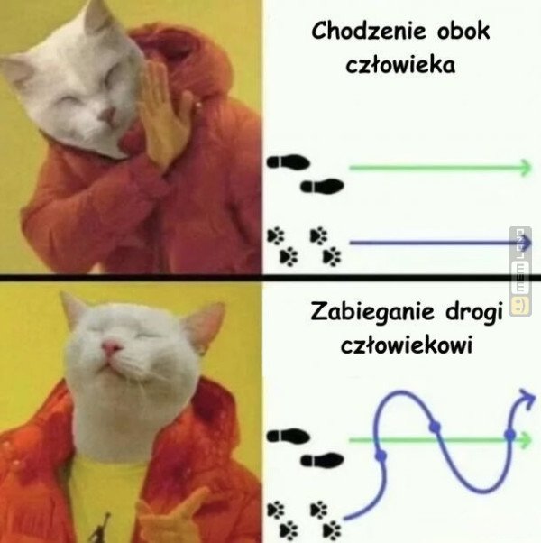 Śmieszny mem: 8005672 - MemLand