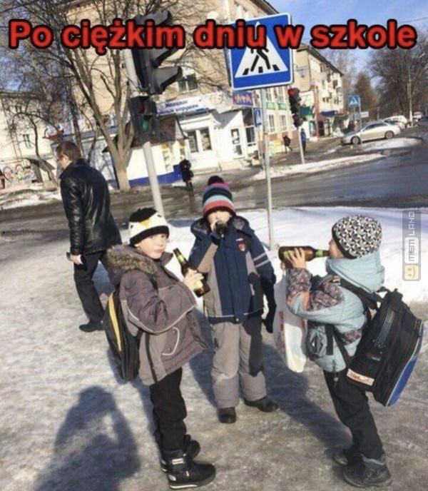 Śmieszny mem: 8005957 - MemLand