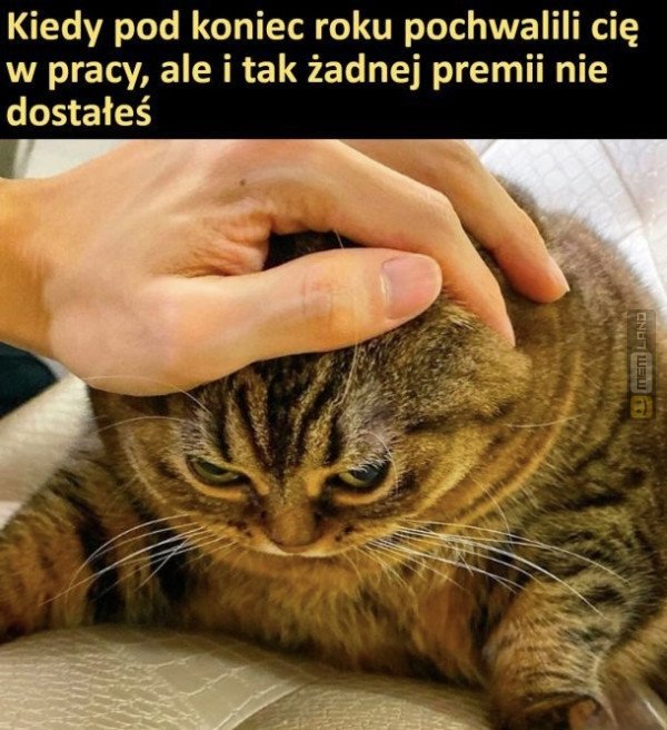 Śmieszny mem: 8009308 - MemLand