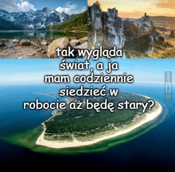 Śmieszny mem: 8013410 - MemLand