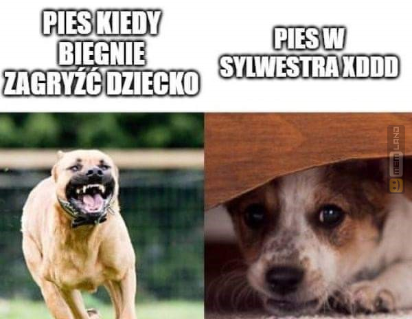 Śmieszny mem: 8018155 - MemLand