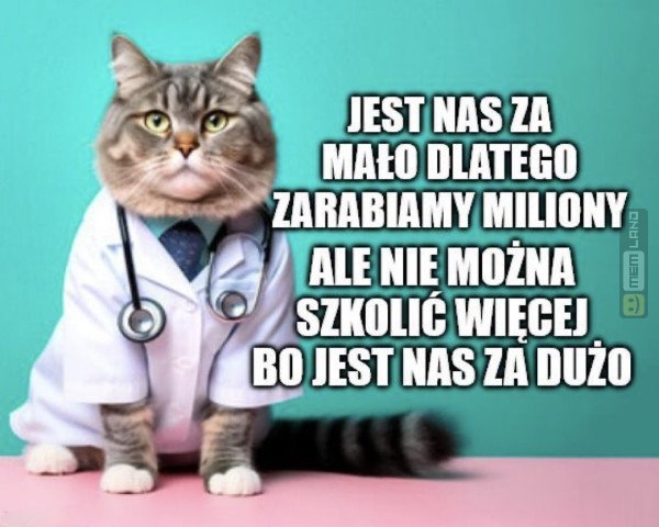 Śmieszny mem: 8018588 - MemLand