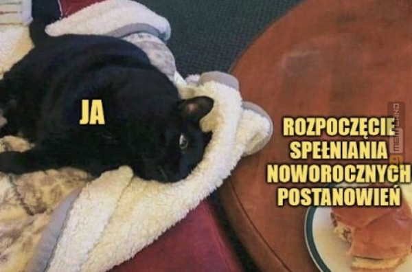 Śmieszny mem: 8023724 - MemLand