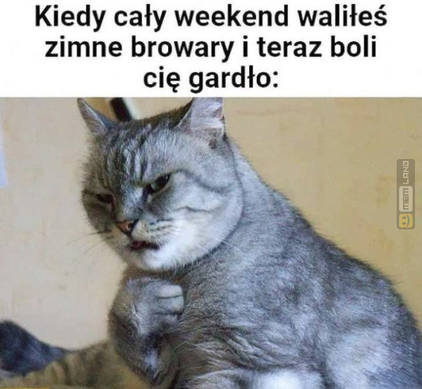 Śmieszny mem: 8027247 - MemLand