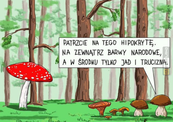 Śmieszny mem: 8028115 - MemLand