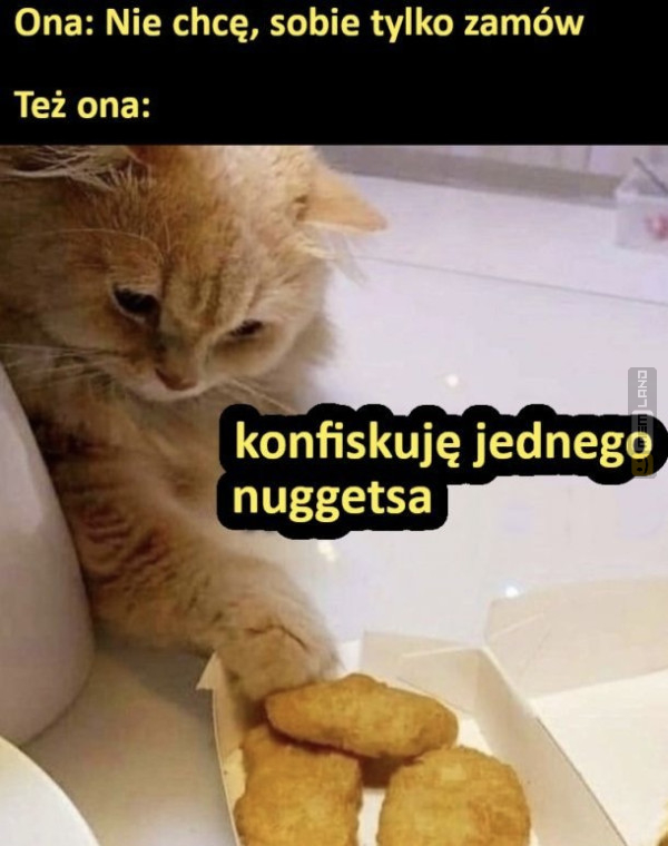 Śmieszny mem: 8029305 - MemLand