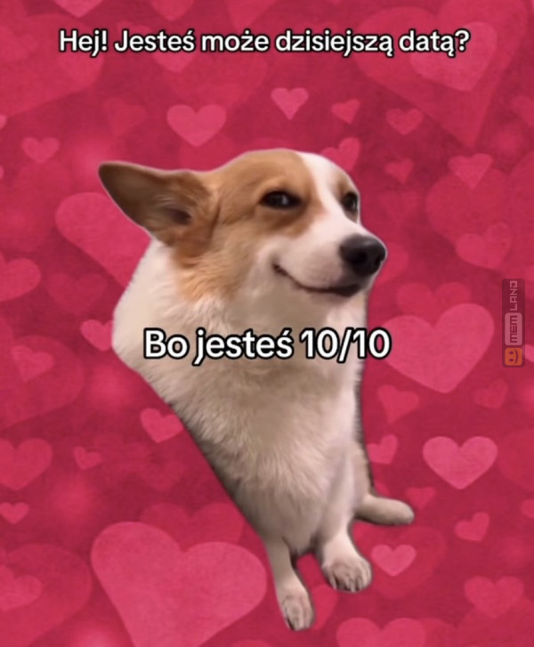 Śmieszny mem: 8034677 - MemLand