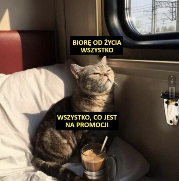 Śmieszny mem: 8044057 - MemLand