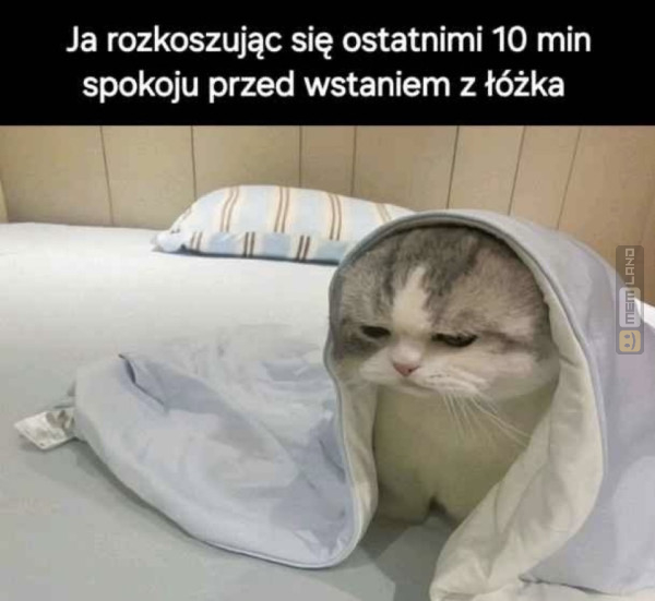 Śmieszny mem: 8045156 - MemLand