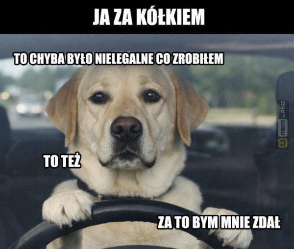 Śmieszny mem: 8052085 - MemLand