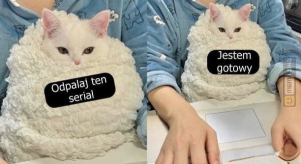 Śmieszny mem: 8052347 - MemLand